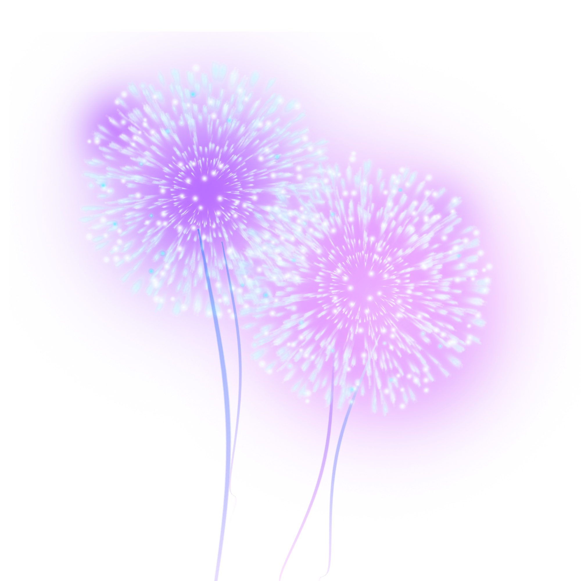 fireworks